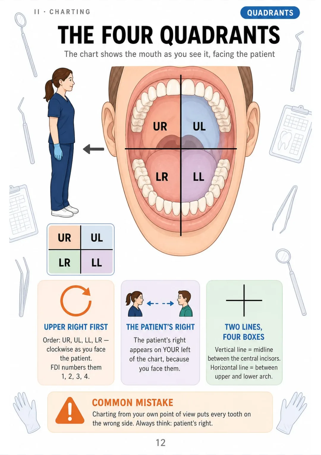 UR, UL, LL, LR: the mouth as a cross, seen facing the patient.