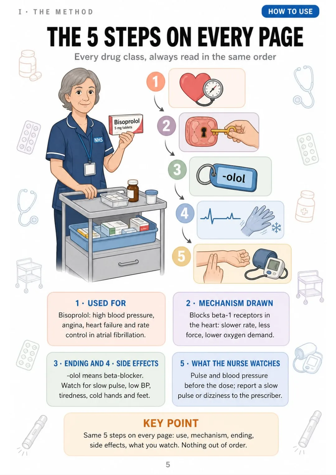 Bisoprolol worked through in 5 steps: use, mechanism, -olol, side effects, pulse and BP.