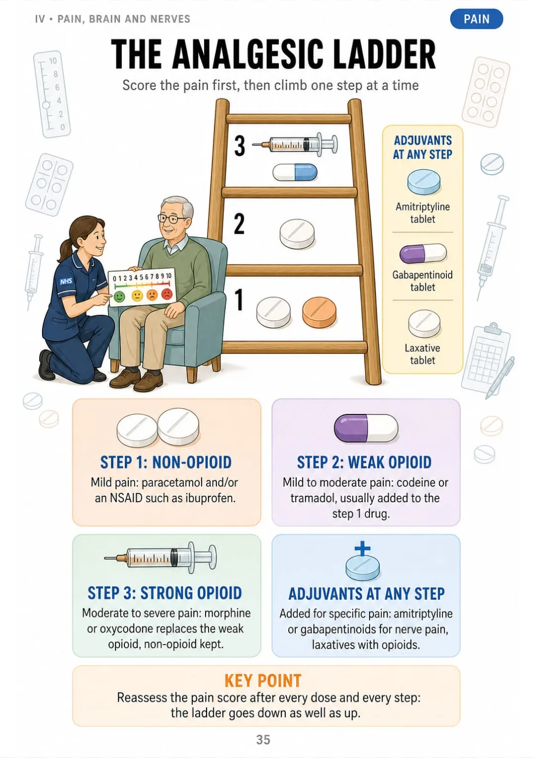 Step 1 paracetamol/NSAID · Step 2 codeine · Step 3 morphine, oxycodone · adjuvants at every step