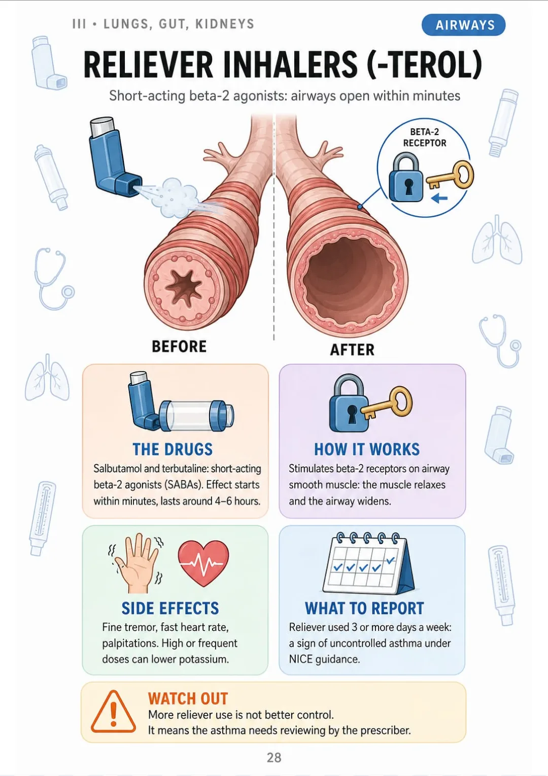 Salbutamol relaxes airway muscle in minutes; use 3+ days a week flags uncontrolled asthma.