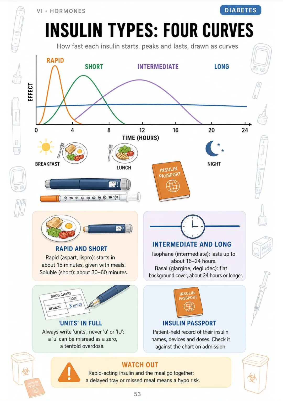 Rapid, short, intermediate and long-acting insulin drawn as four onset curves, plus why 'units' is always written in full.