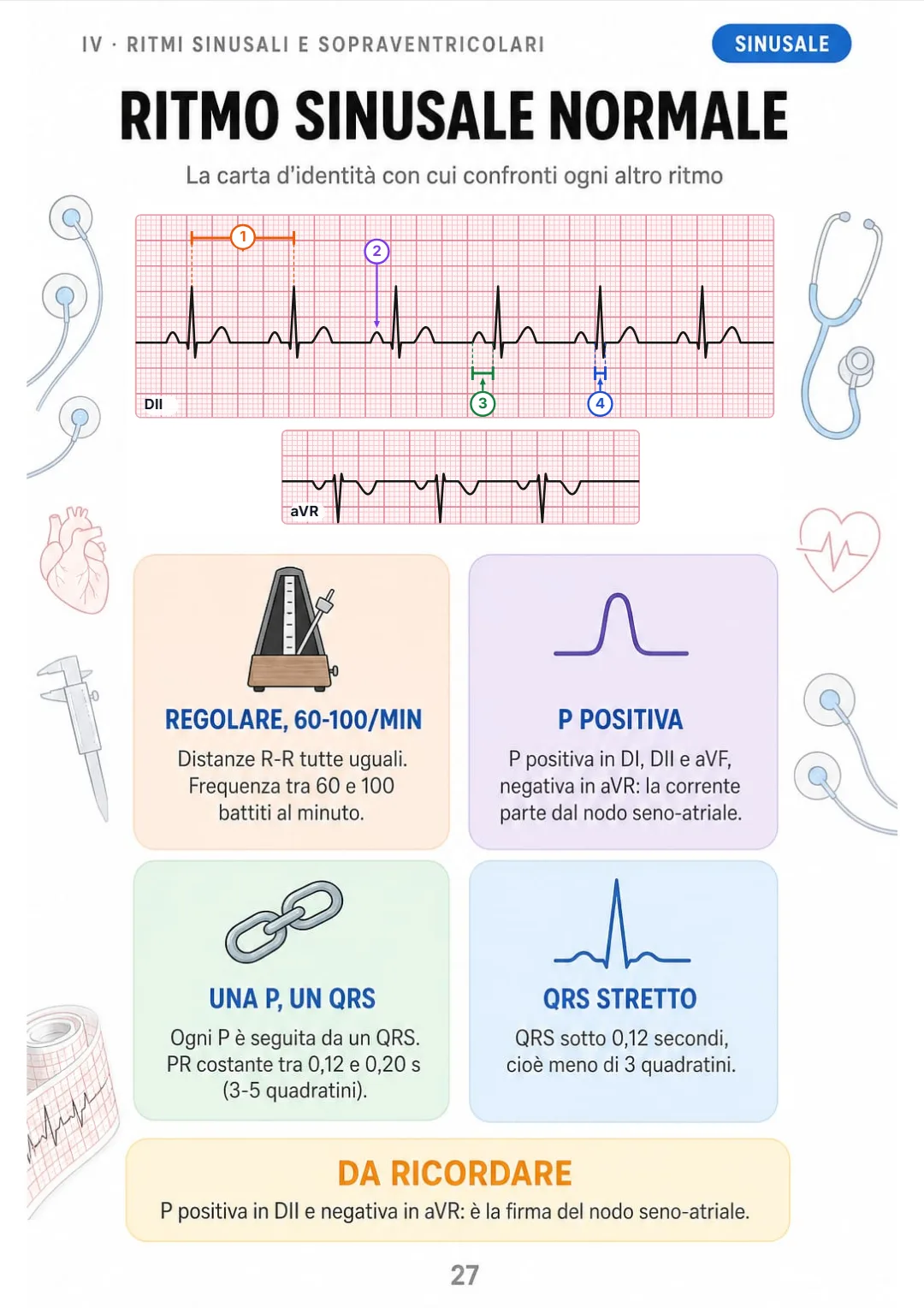 Regolare, 60-100/min, P positiva in DII e negativa in aVR, PR costante, QRS stretto.