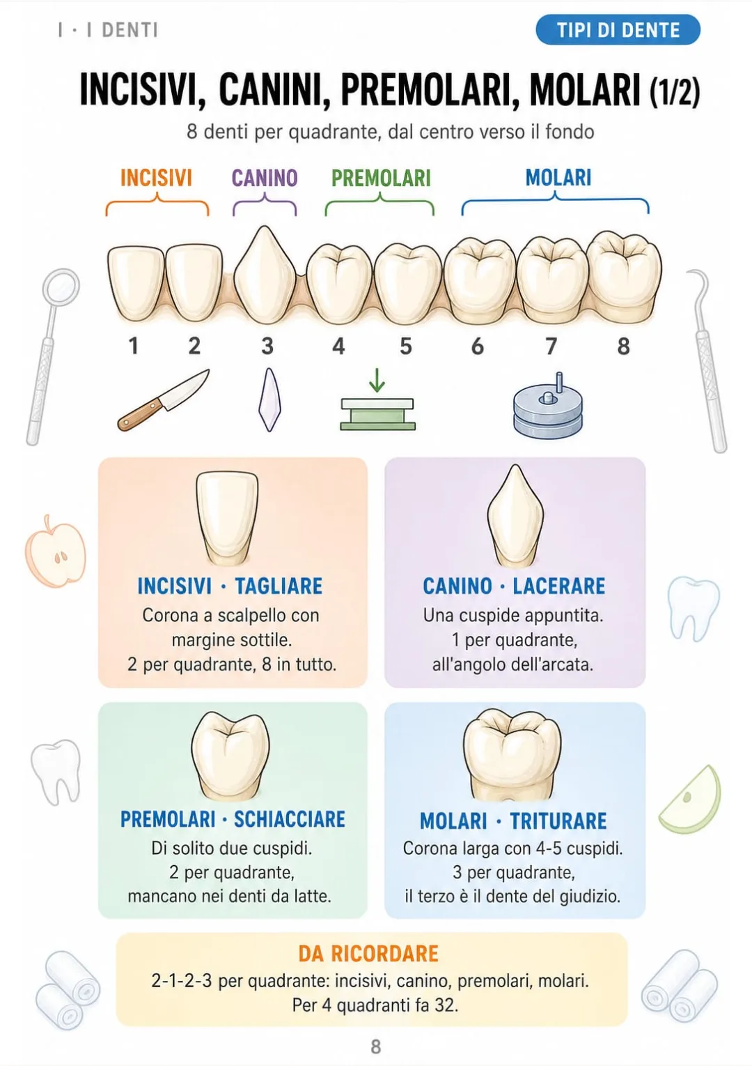 La sequenza 2-1-2-3 per quadrante e a cosa serve ogni tipo di dente