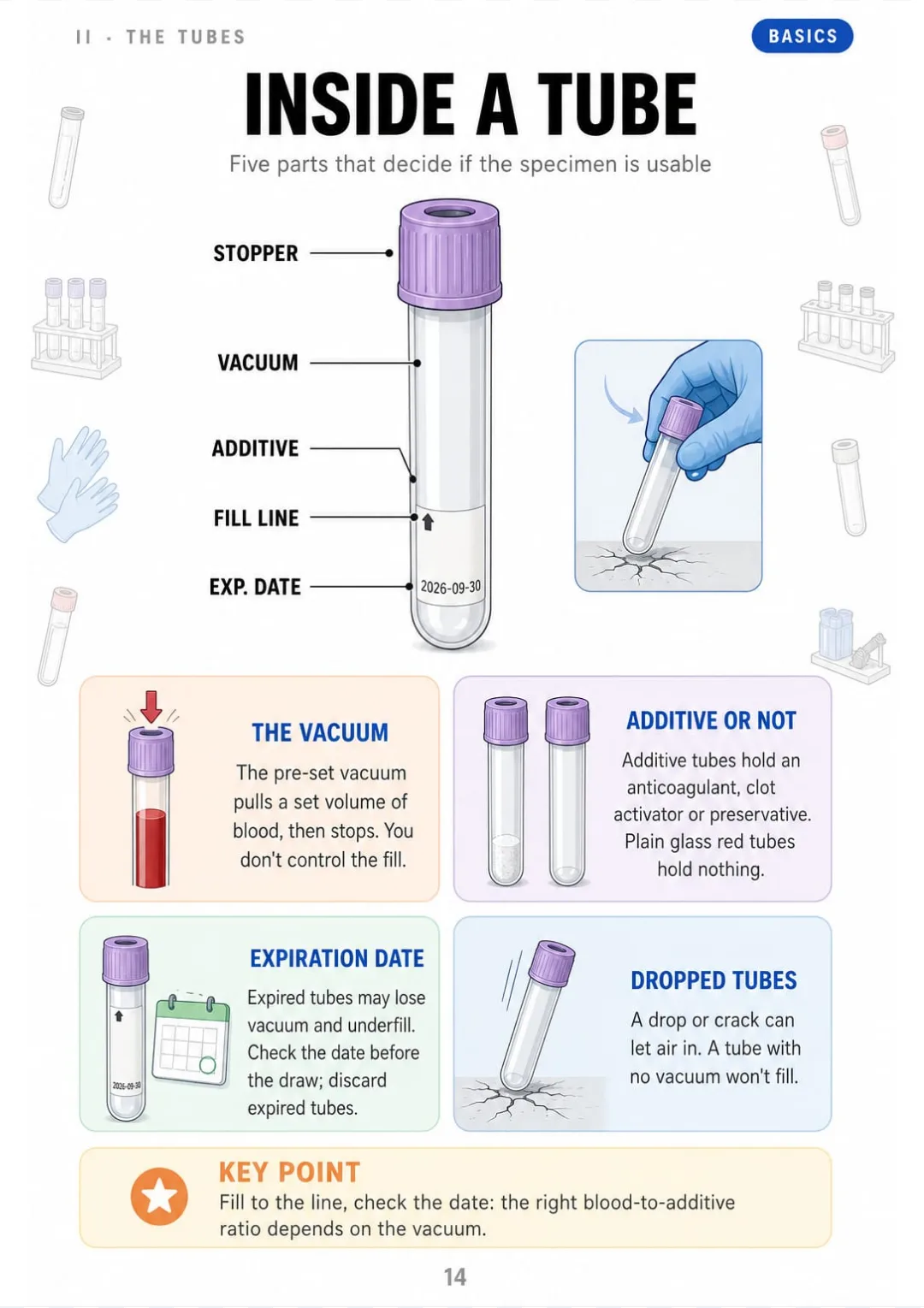 The evacuated tube in cut-away: stopper, vacuum, additive, fill line, expiration date.