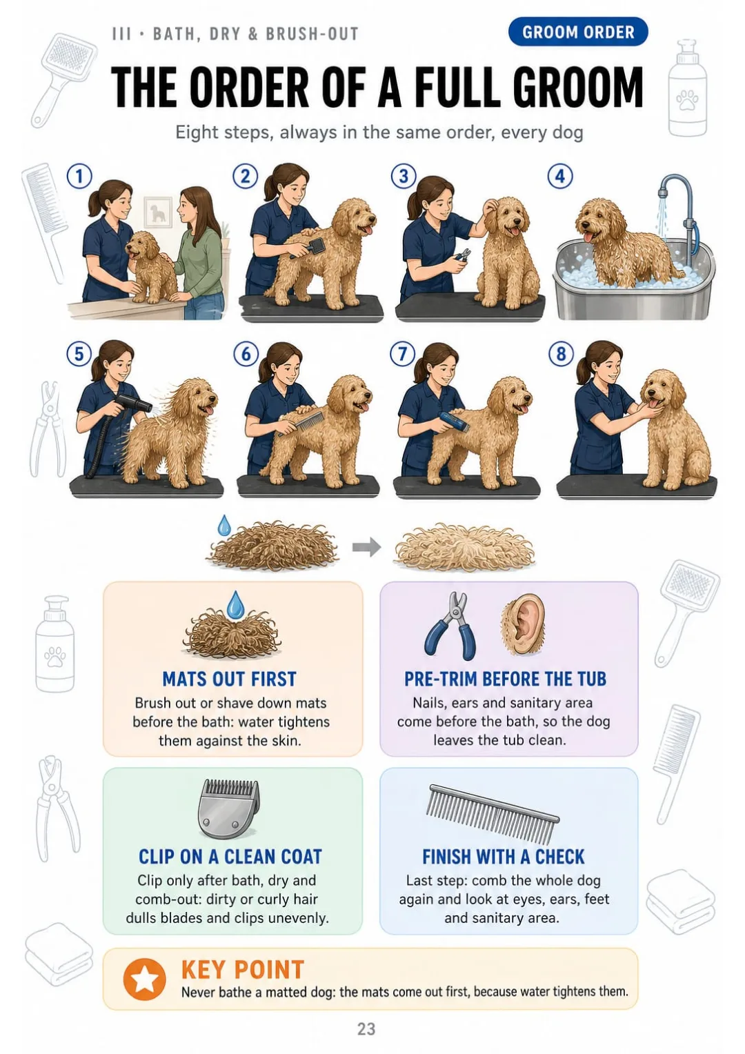 8 steps of a full groom, from consultation to final check: mats out before the bath.