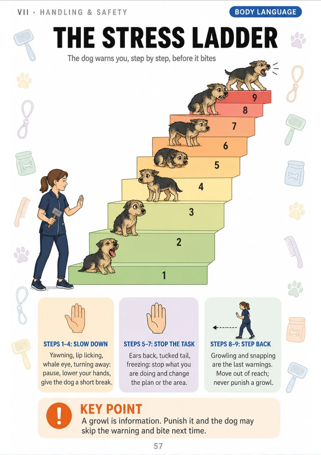Nine body-language signals, from yawning to snapping, drawn as one ladder.