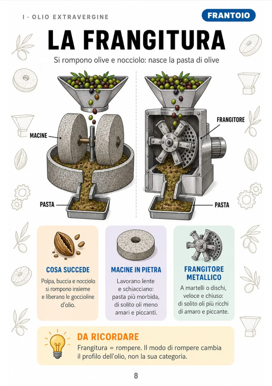 Macine in pietra o frangitore metallico: dalle olive alla pasta