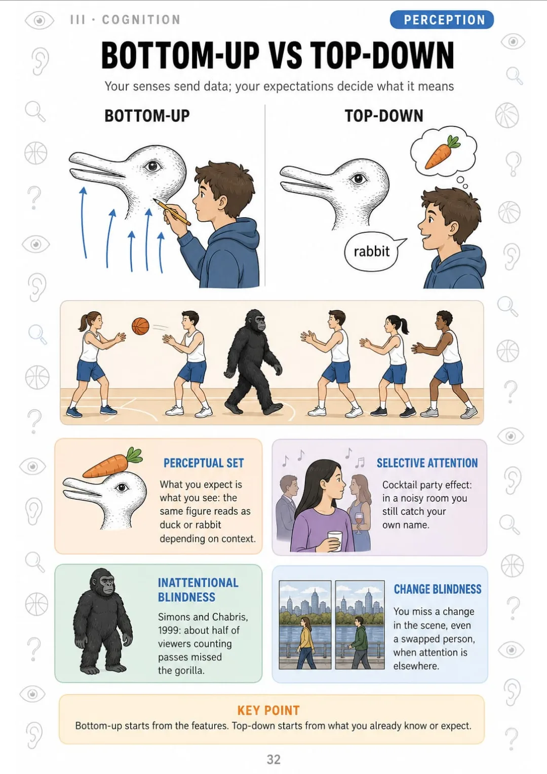Bottom-up vs top-down, plus the gorilla nobody saw (Simons and Chabris, 1999)