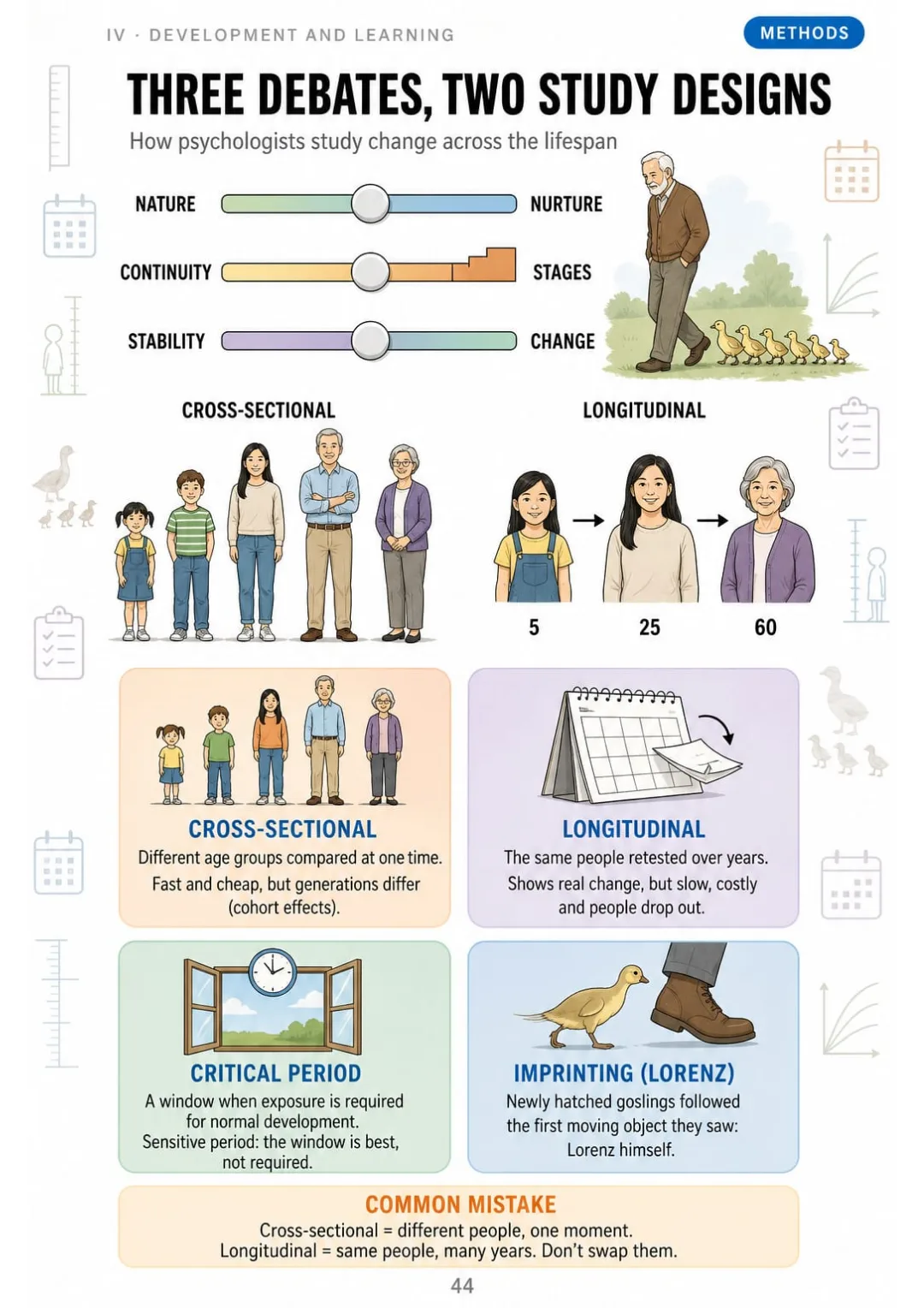 Cross-sectional compares ages at once; longitudinal follows the same people for years.