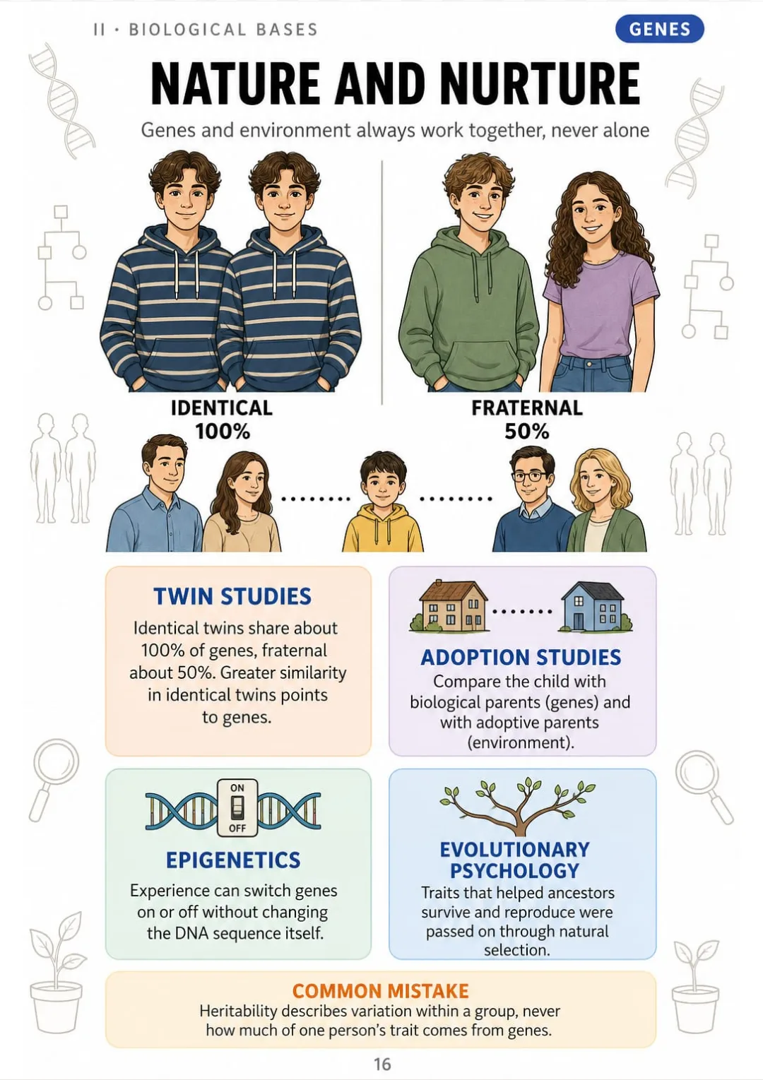 Identical twins about 100%, fraternal about 50%: what twin studies really measure.