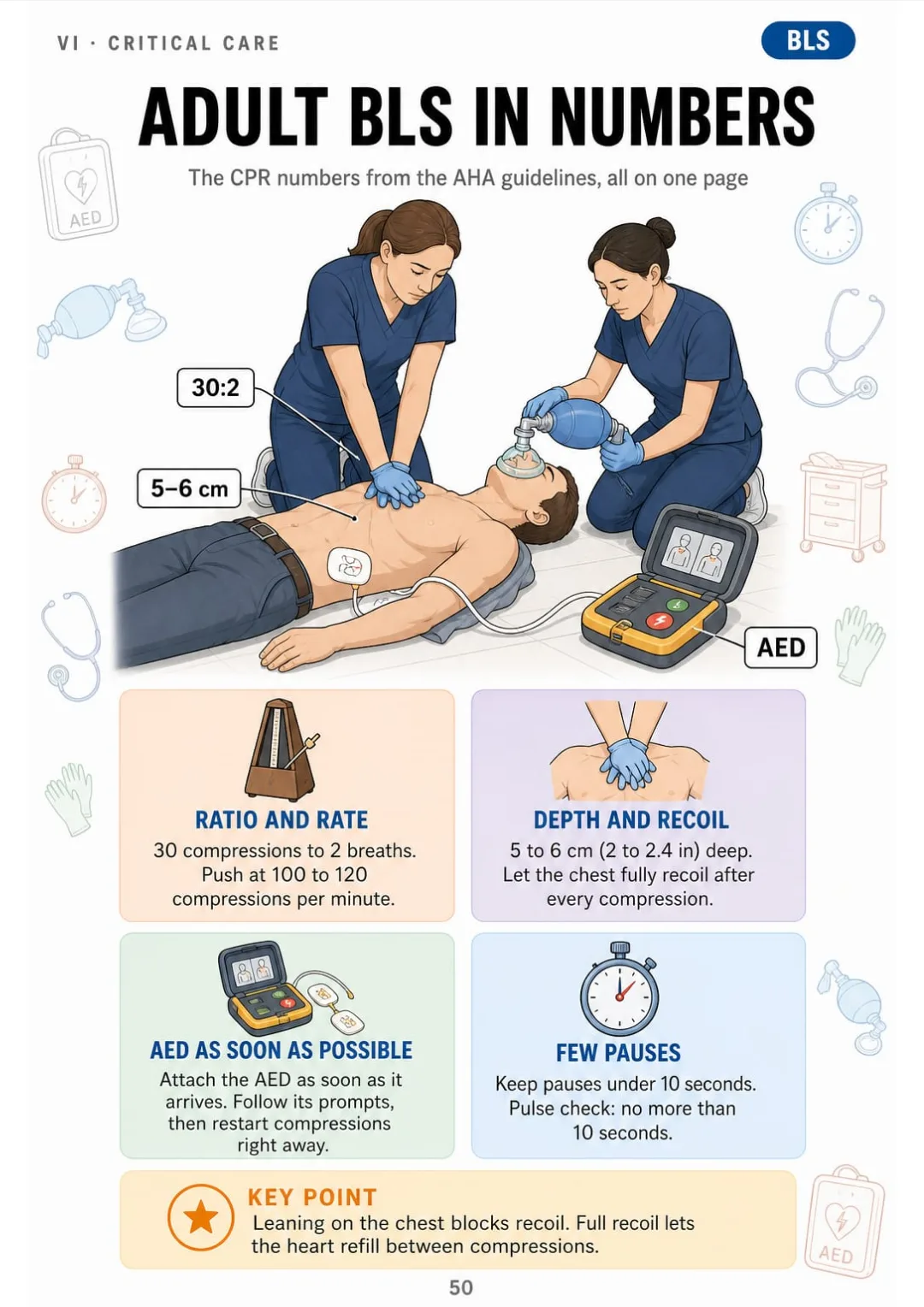 Adult BLS per AHA: 30:2, 100–120/min, 5–6 cm deep, full recoil, AED ASAP.